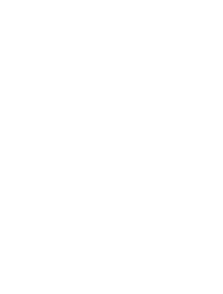 The Florida Bar Business Litigation